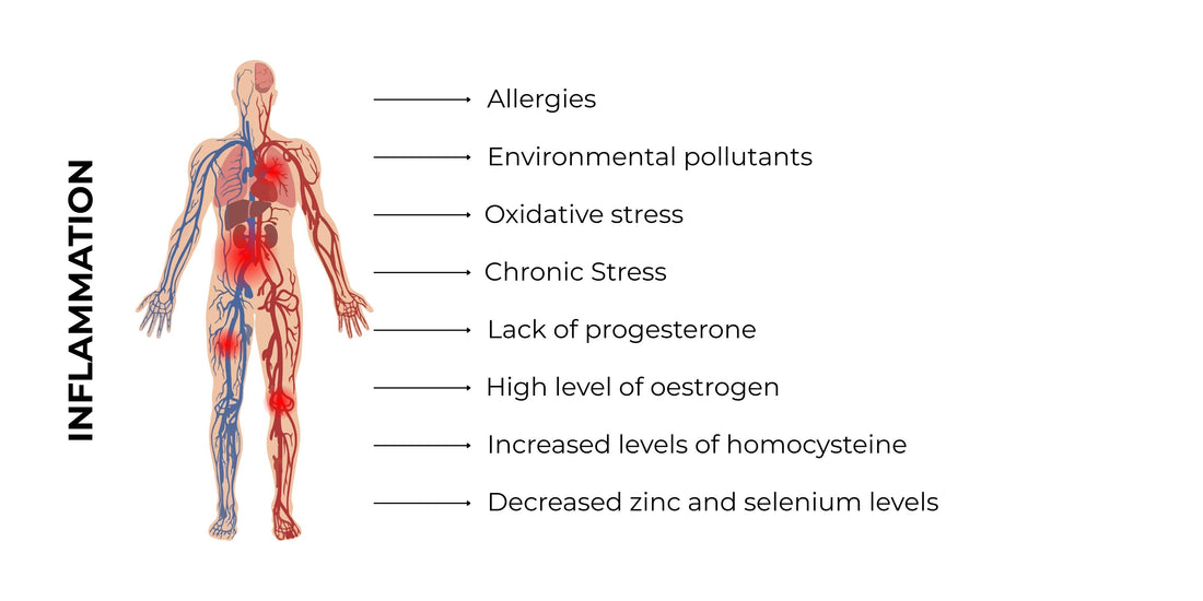 Understanding Progesterone's Role in Calming Inflammation