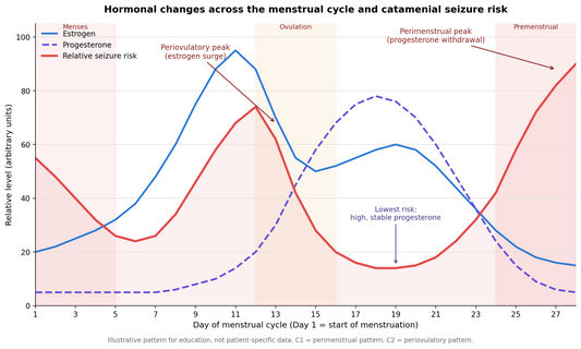 Progesterone Therapy & Catamenial Epilepsy