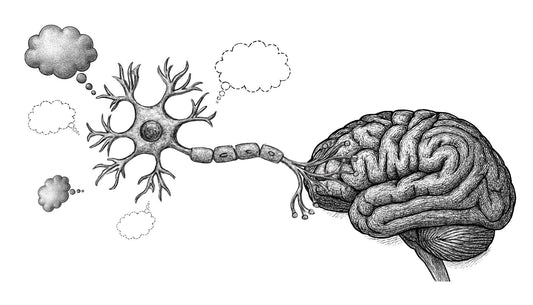 Causes of Memory Loss