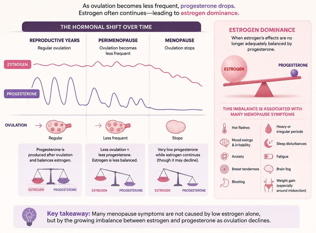 Menopause: Understanding the Transition & Supporting Your Health Naturally